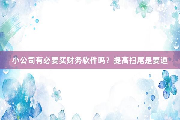 小公司有必要买财务软件吗？提高扫尾是要道