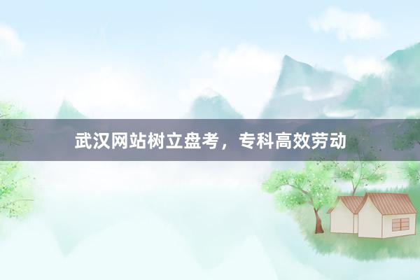 武汉网站树立盘考，专科高效劳动