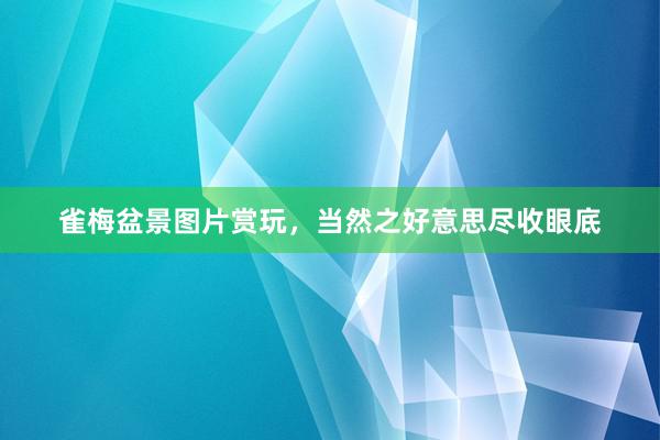 雀梅盆景图片赏玩，当然之好意思尽收眼底