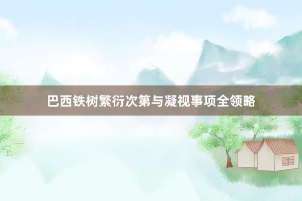 巴西铁树繁衍次第与凝视事项全领略