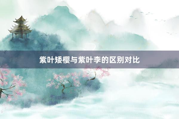 紫叶矮樱与紫叶李的区别对比