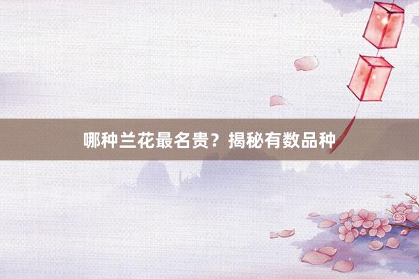 哪种兰花最名贵？揭秘有数品种